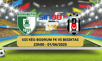 Logo đội Bodrumspor
